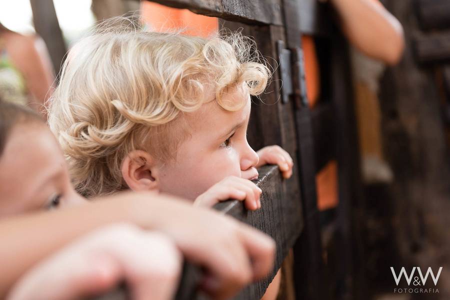 Aniversário de Samuel - 3 anos