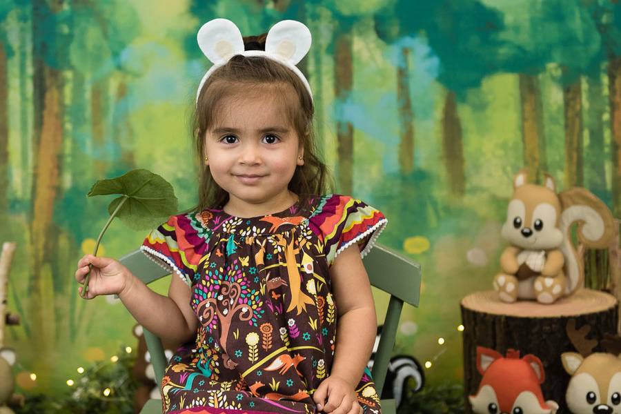 Tem&aacute;ticos de Floresta 2019