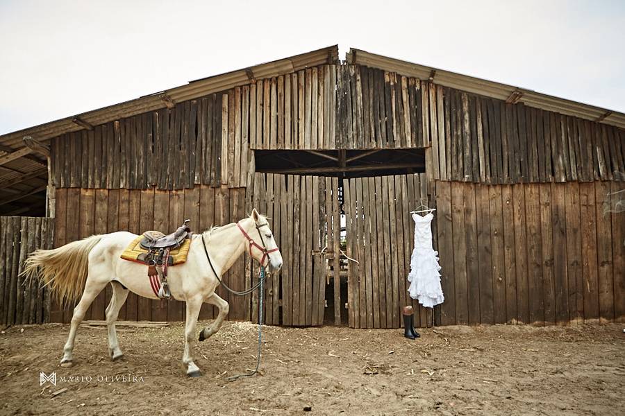 Trash The Dress de Trash The Dress Cynthia e Deocelso
