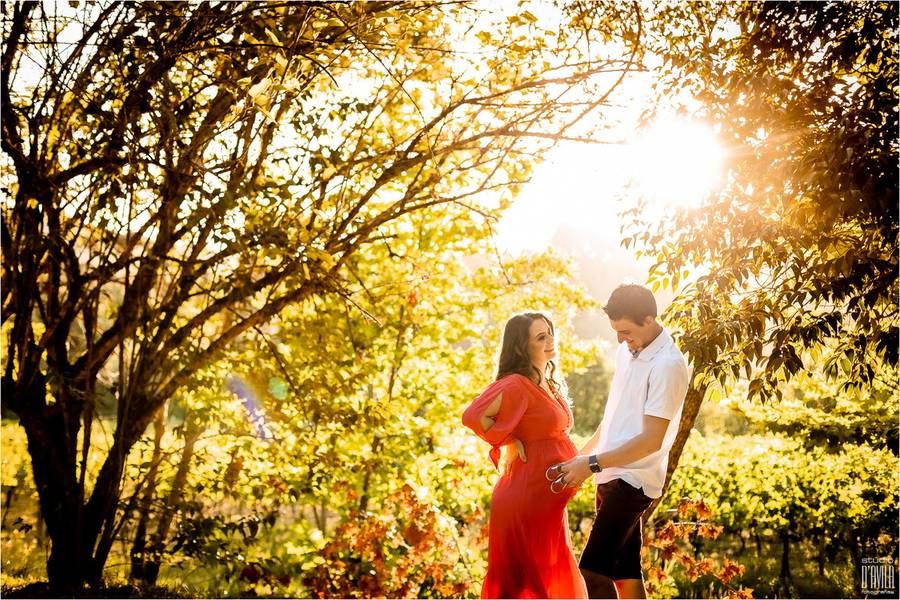 Gestantes de Esperando a Laura