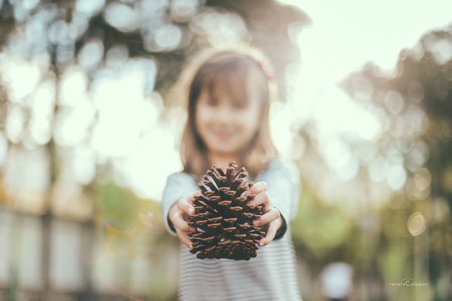 Familia de Domingo no parque