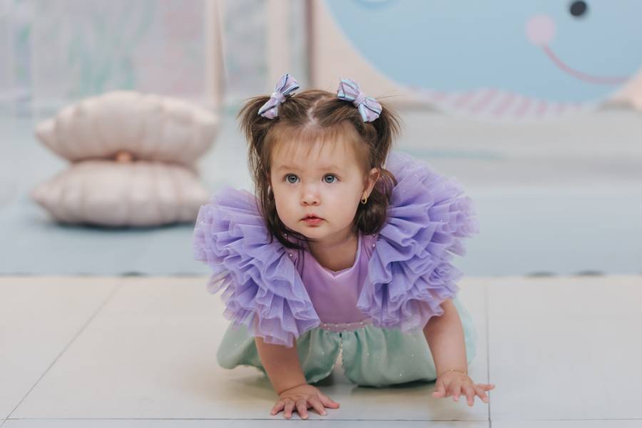 Aniversário Infantil de Theodora 1 aninho 