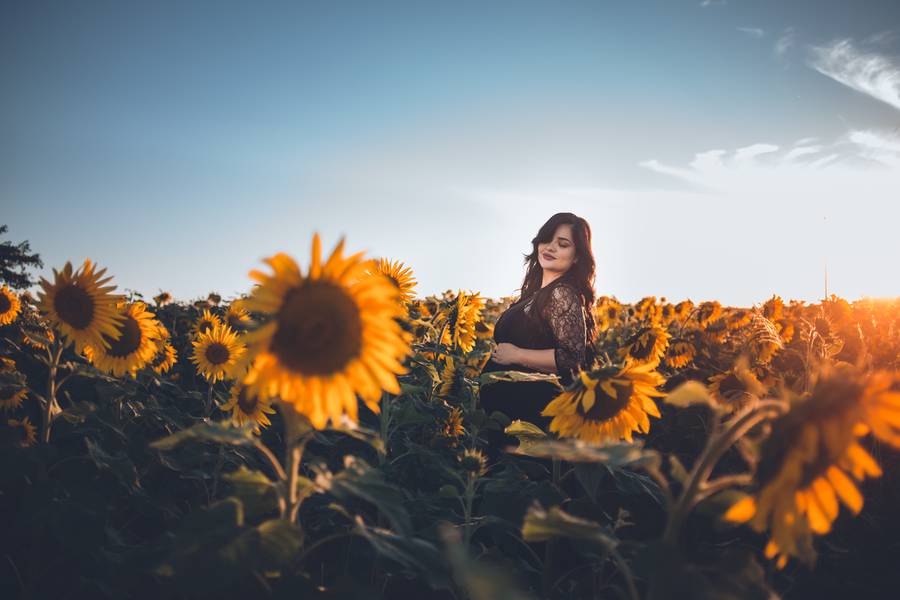 Ensaio Externo de À espera de Helena