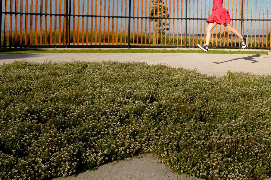 15 ANOS de 15 Anos da Nadia