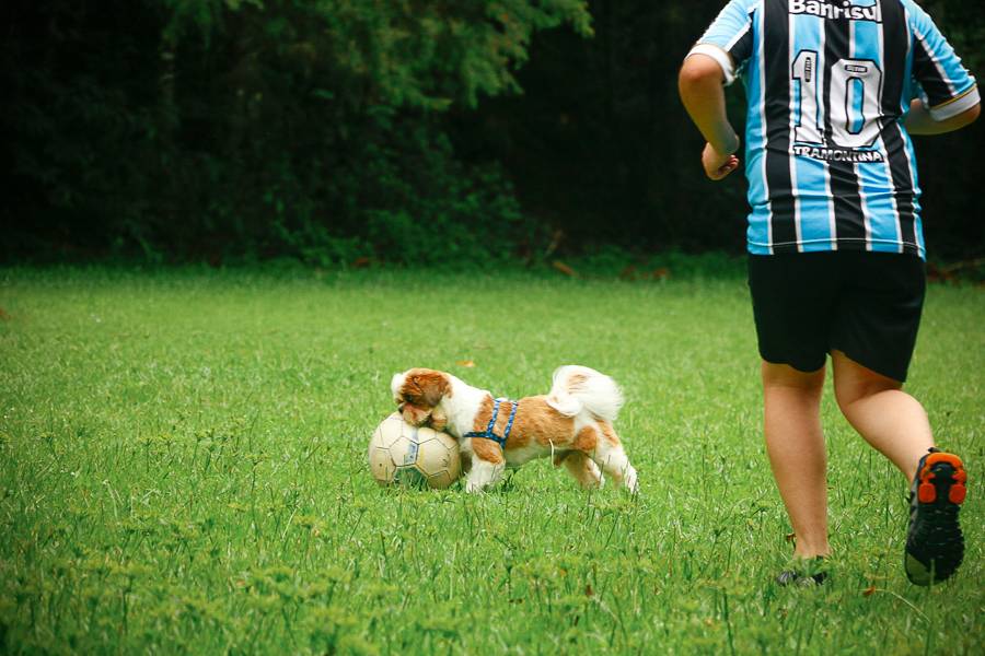 GESTANTE e FAMILIA de Renata e Rafa