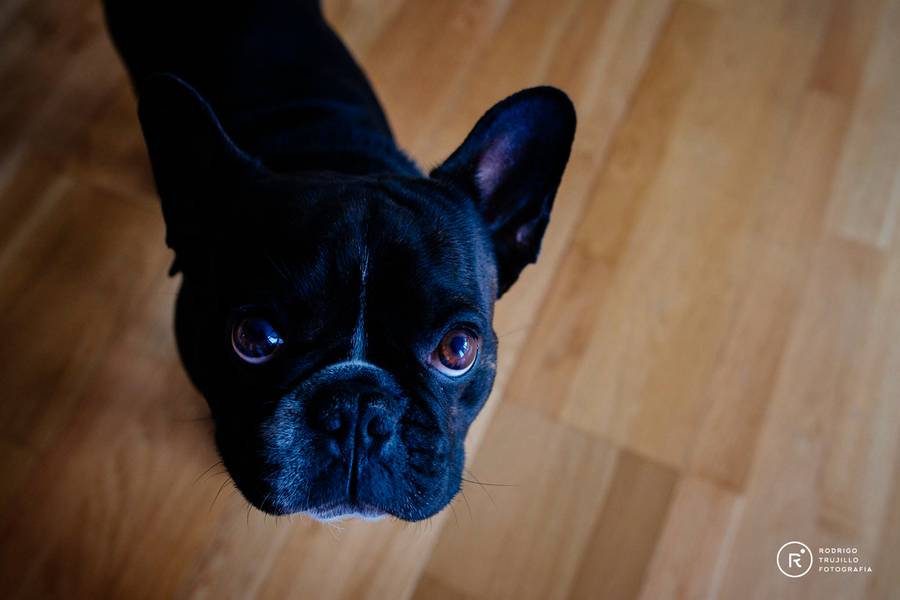 BODAS de Jime & Lean