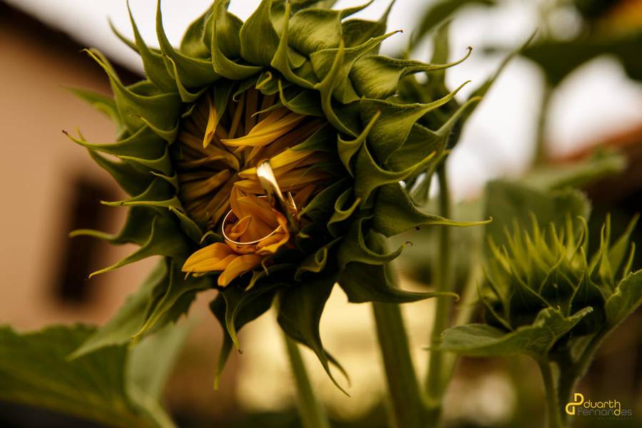 Casamentos de Casamento | Luana e Jônathas + Darliane e  Higno