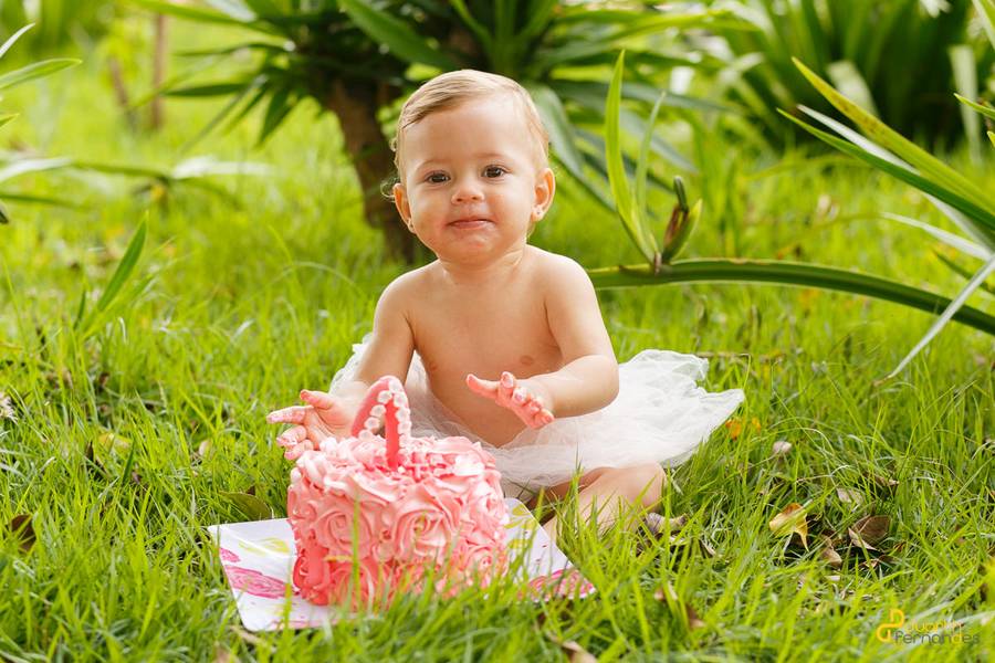 Smash the Cake de Smash the Cake | Maria Rita