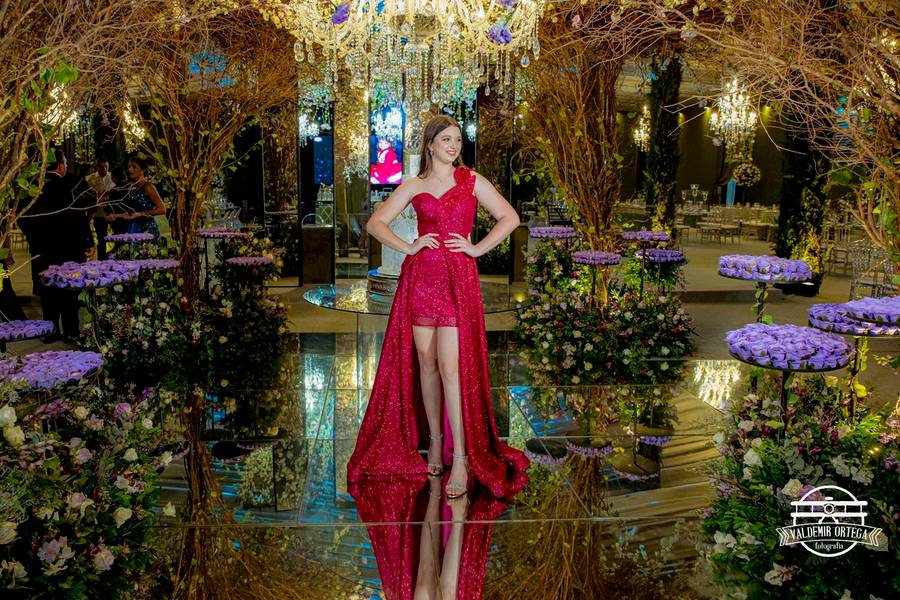 15 anos de Isadora 15 anos