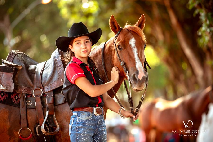 Ensaios de Alicia Endres