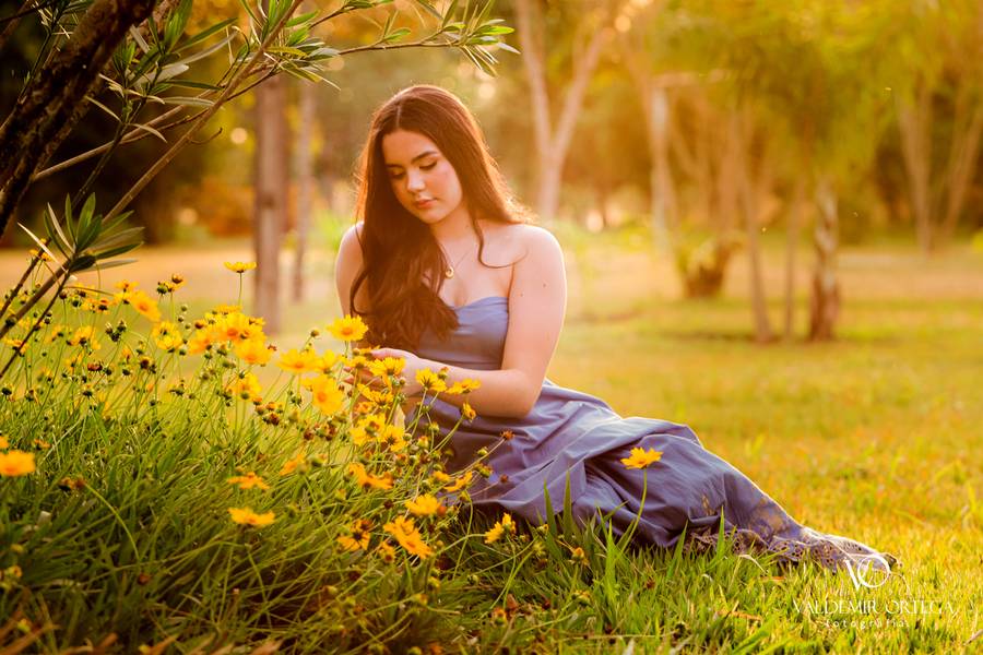 15 anos de Isabella Pré Aniversária