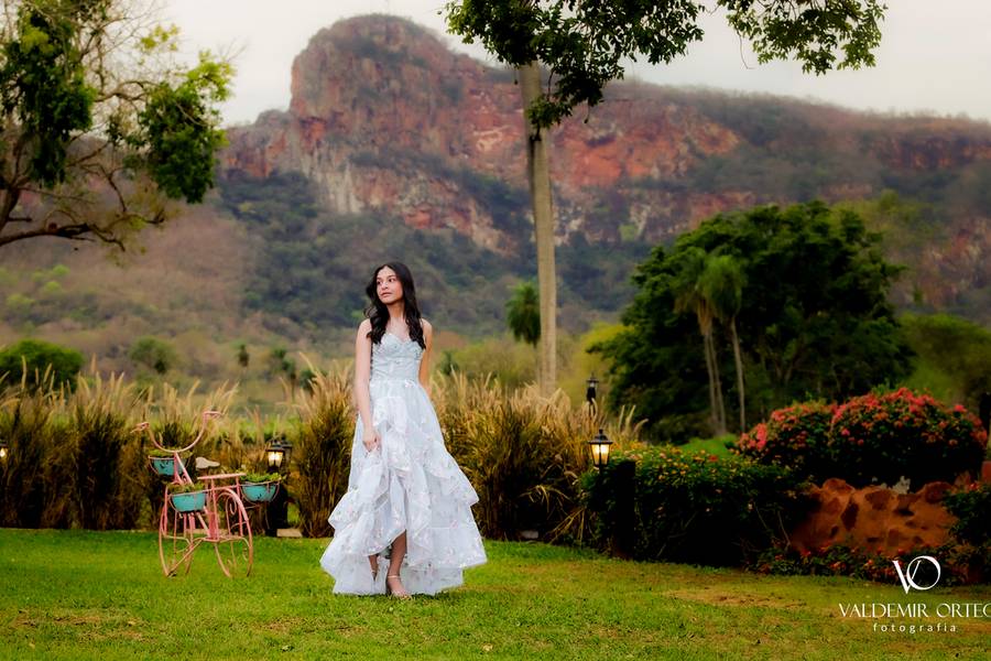 15 anos de Clara pré-aniversário