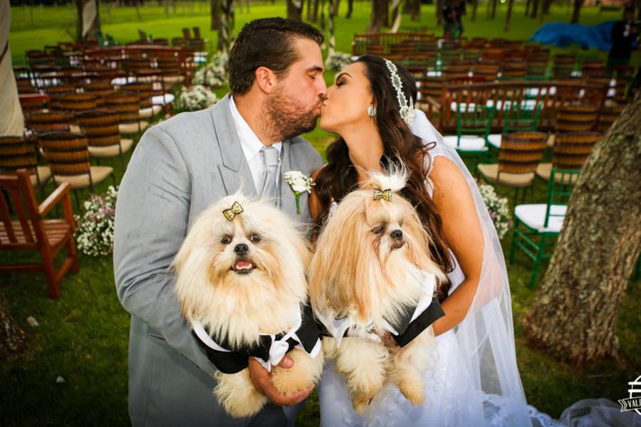 Casamento de Casamento Andressa e Peter