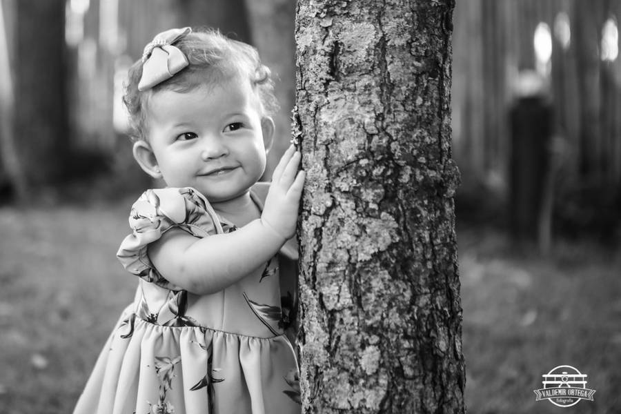 Aniversários de Pré-Aniversário Maria Isabel