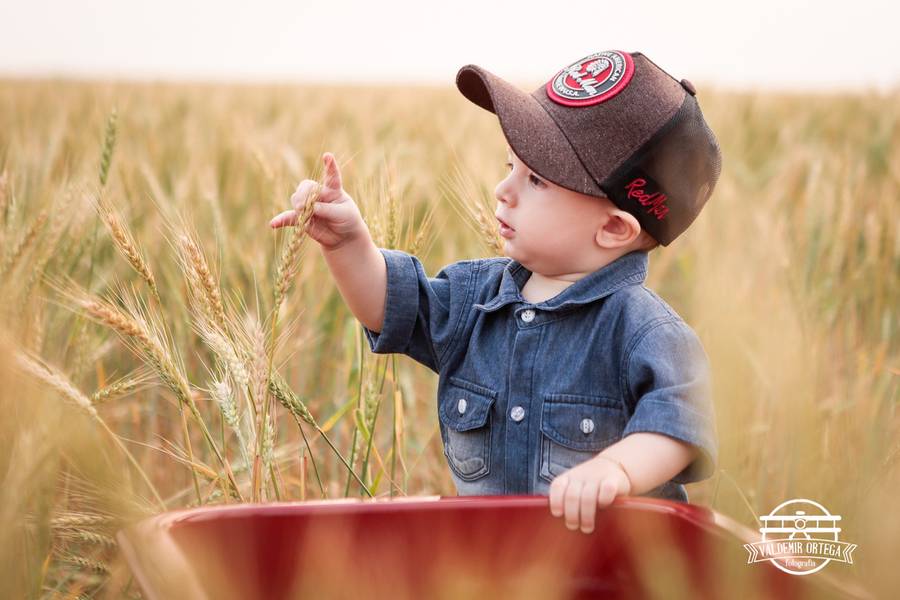 Ensaios de Arthur Pré-Aniversario