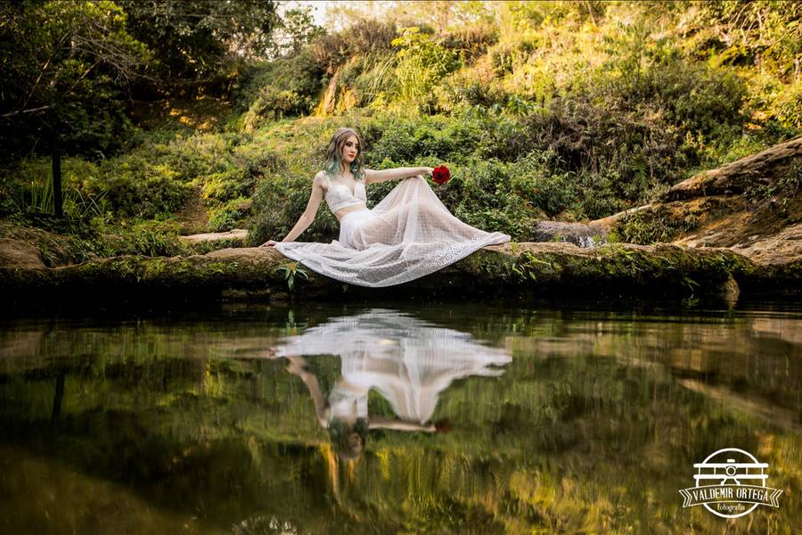 Ensaios de Luiza Terol