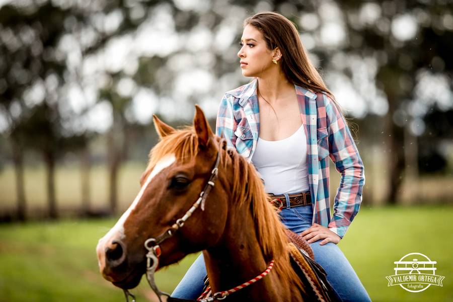 Ensaios de Julia F. Karst