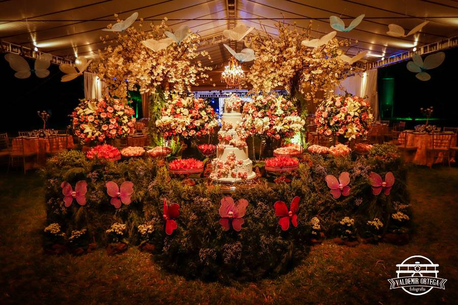 15 anos de Julia F. Karst