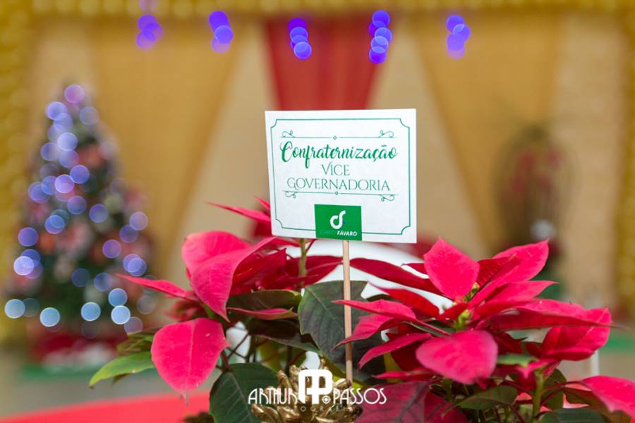 Empresarial de Vice Governadoria - Confraternização