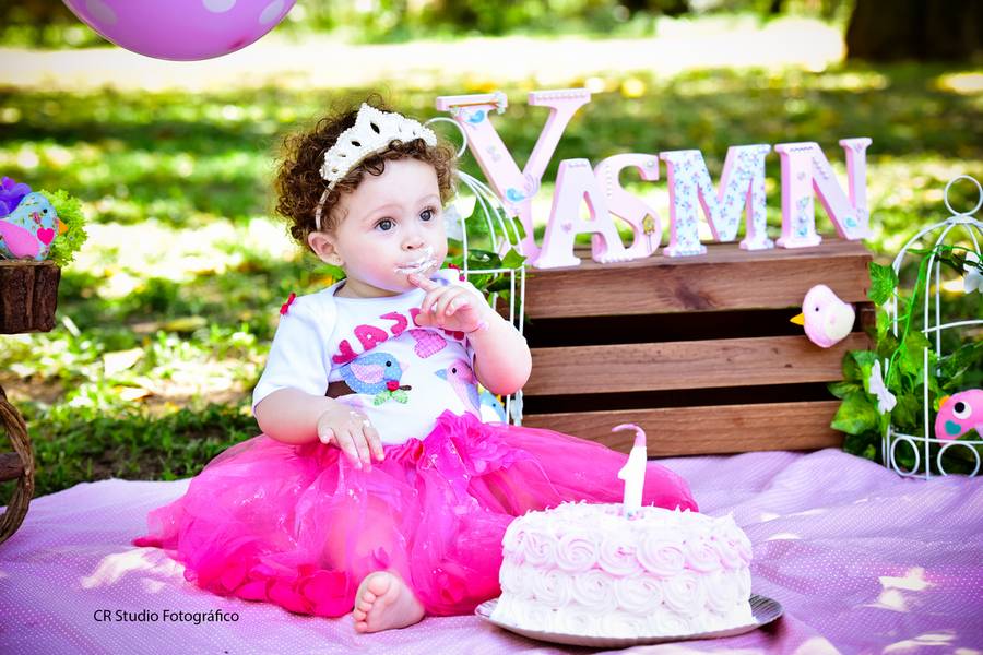 Ensaio infantil de Smash the Cake - Yasmin