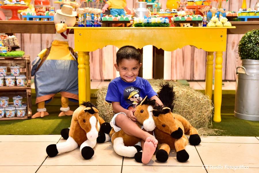Aniversário Infantil de A Fazendinha animada do Chico Bento - Vinícius
