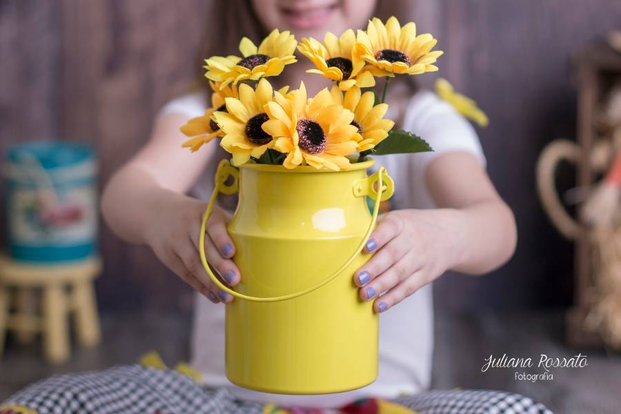 Festa Junina de Bruna - Festa Junina - 5 Anos