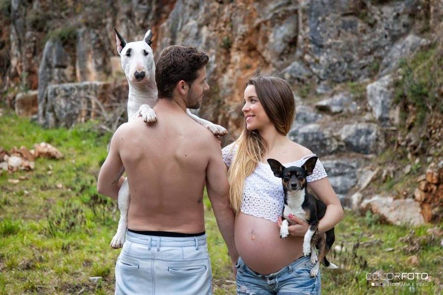 Gravidez de Sem título