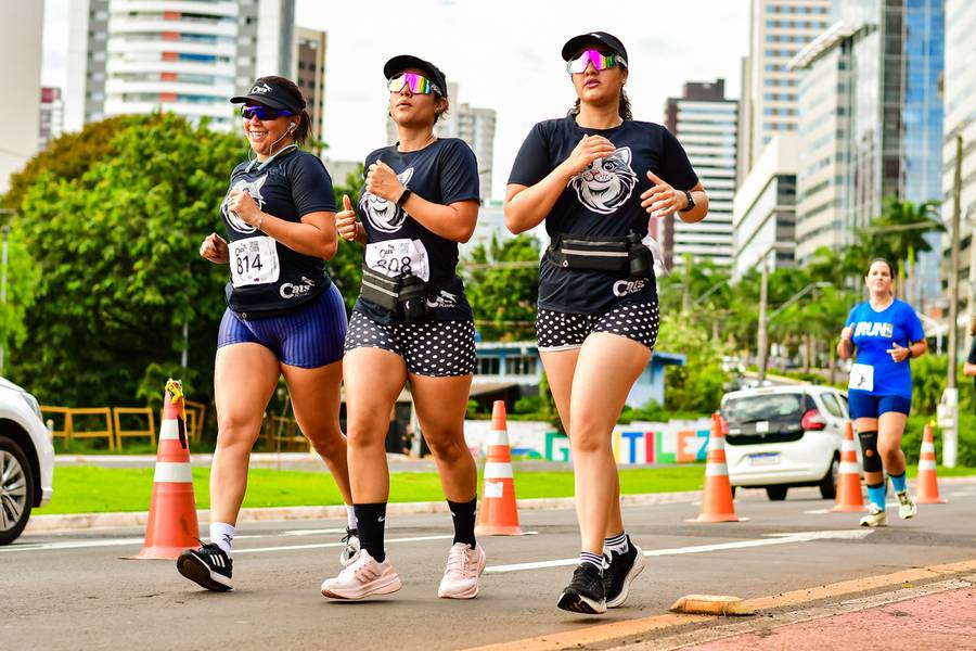 Corridas de Cats Run
