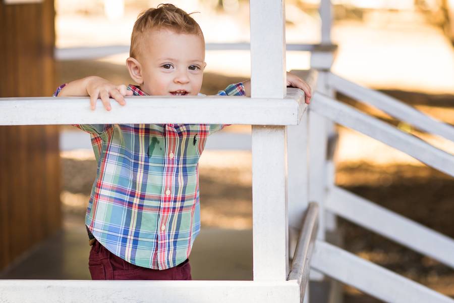 Ensaio Infantil de Ensaio Felipe 1º Ano