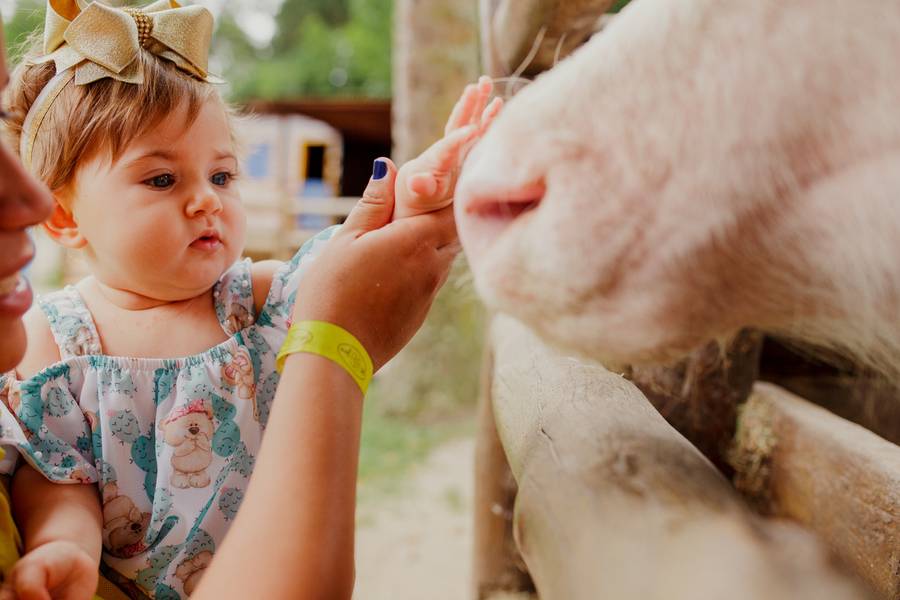 Aniversário de Aniversário - Valentina