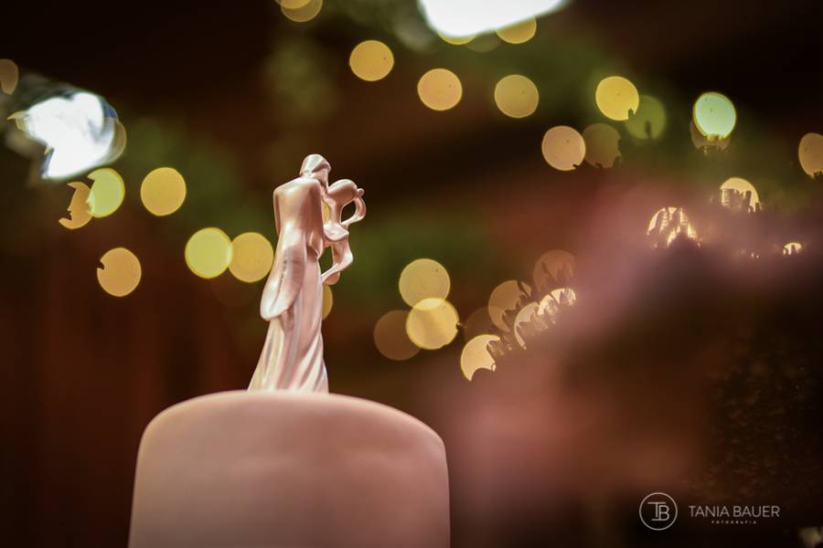 CASAMENTO de Sintonia Perfeita