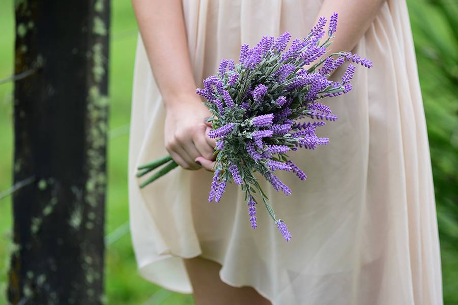 ENSAIO CASAL de Jessica e Jonathan