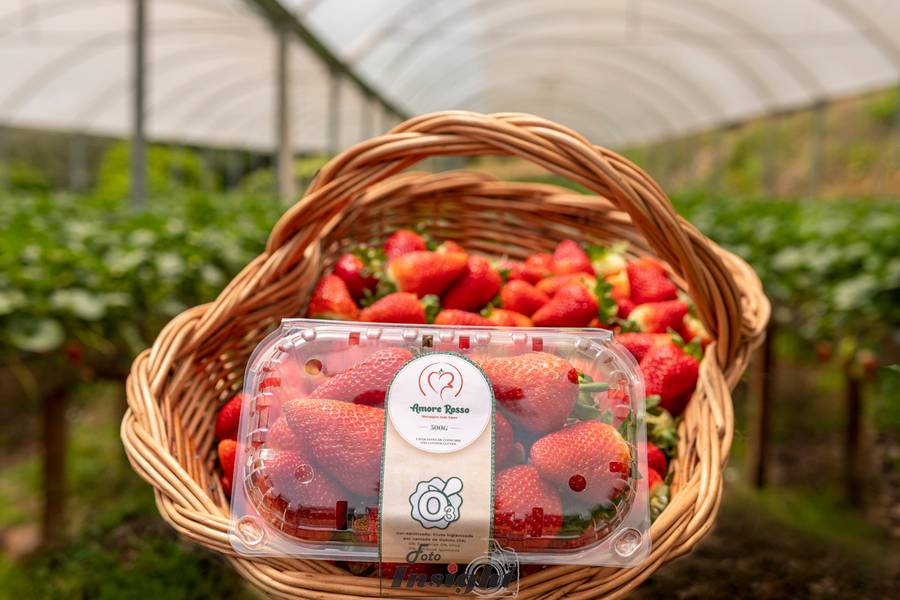 corporativo de Amore Rosso - morangos 