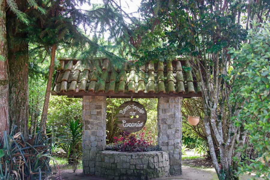 Buffet de Informações para eventos