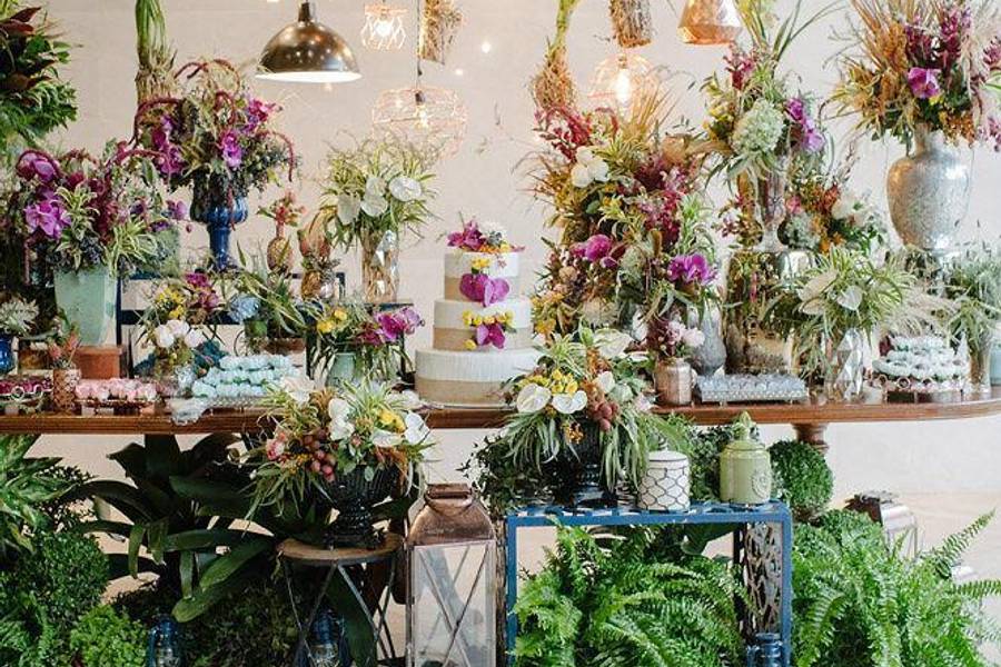 PROJETOS de Genine e Elon 