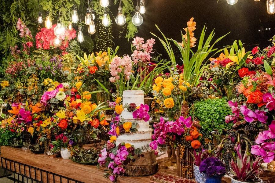 PROJETOS de Raquel e Yves