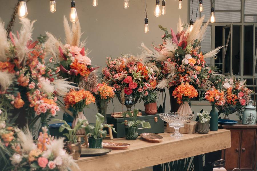 PROJETOS de Ivanna e Ítalo