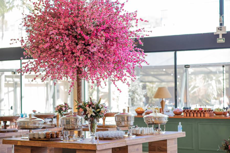 PROJETOS de Mariana e Thiago