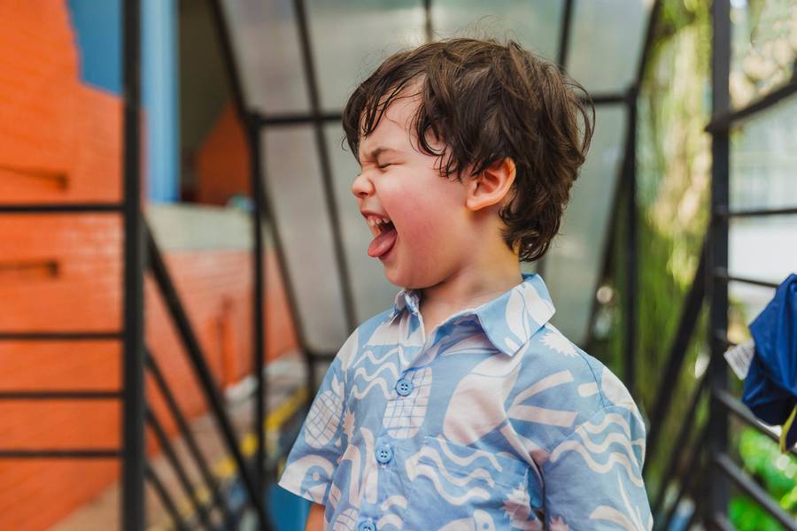 infantil de Fazendo festa com Ian