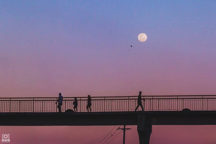 casamento de Casamento Juju & Leo