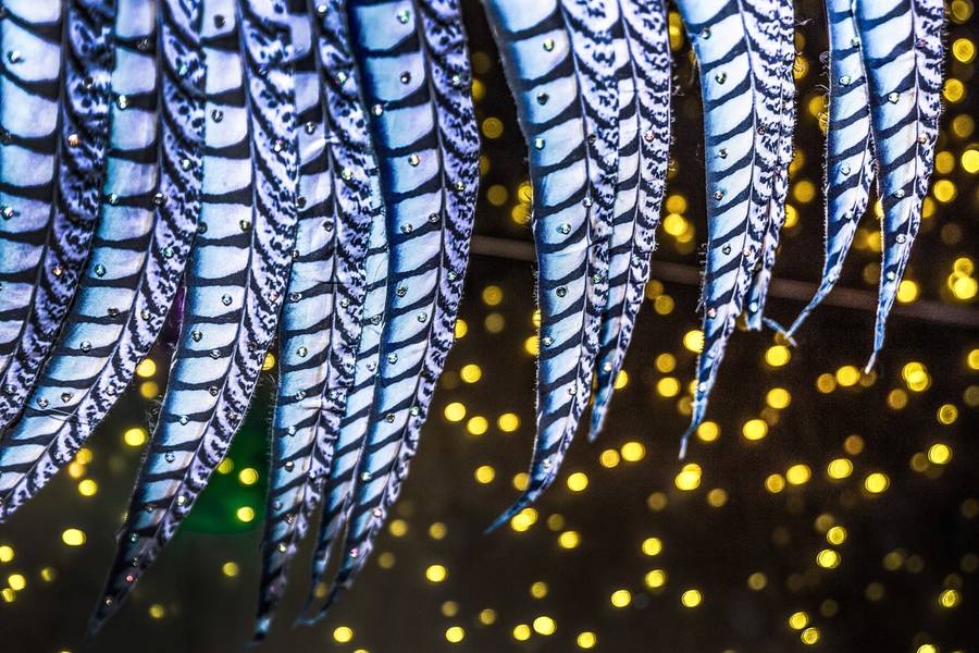 evento de 15 anos Alice