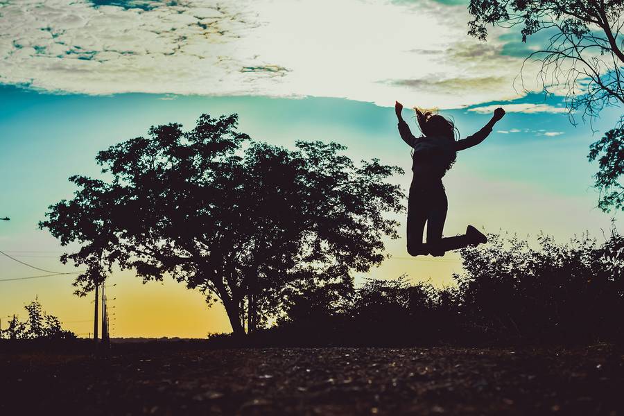 15 anos de Ensaio Liana