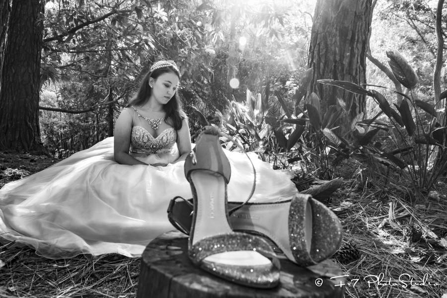 15 Anos de Gabriela - 15 Anos