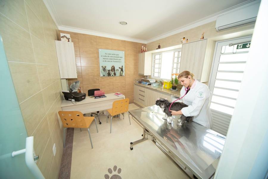 Corporativos de Clinica Veterinária Dog Chic