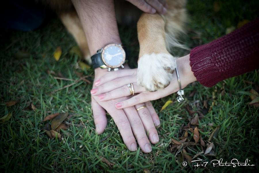Pré Casamento de Aline e Diego