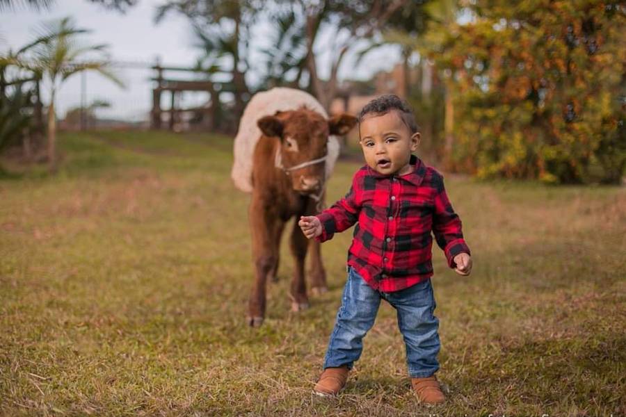 Smash The Cake de Heitor - 1 aninho