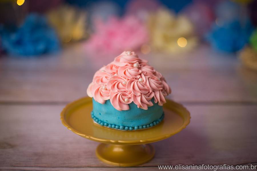 Smash The Cake de Mariana - 1 aninho