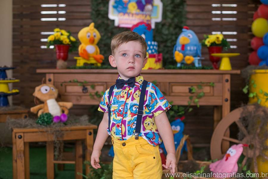 Festa Infantil de 2 Aninhos José