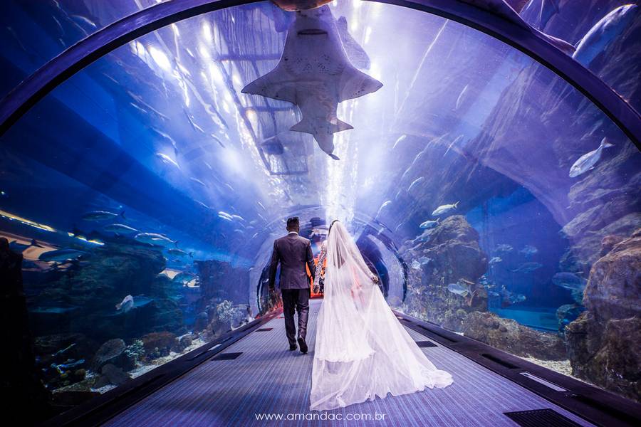 Viagens de Josy e Dedé - Lua de Mel