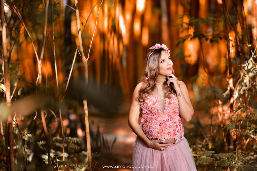 Gravidinhas de Deise e Will